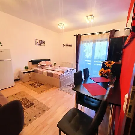 Apartment Studio Central *