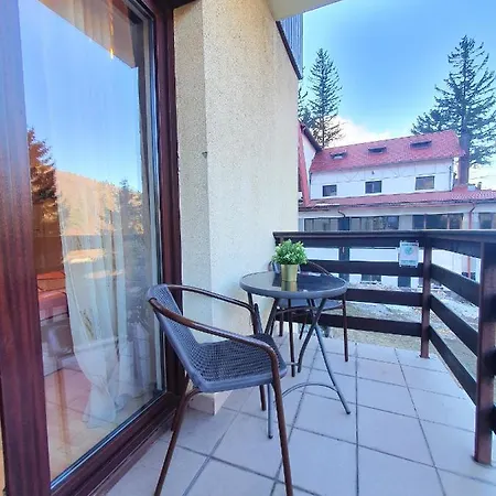 Studio Central Sinaia