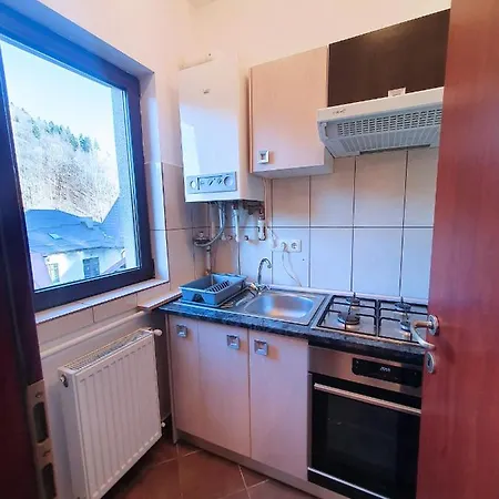 Apartment Studio Central Sinaia