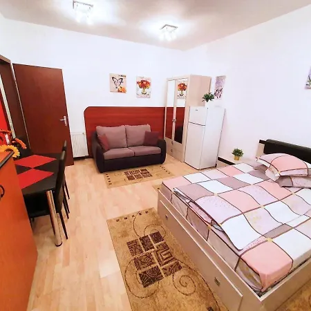Studio Central Sinaia