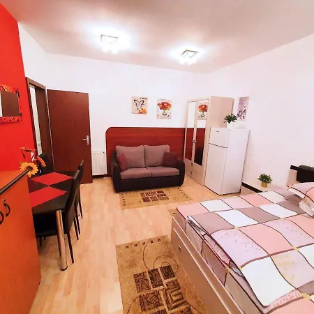 Studio Central * Sinaia