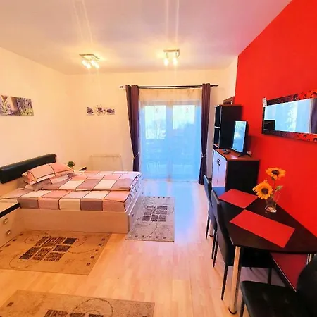 Studio Central Apartment *