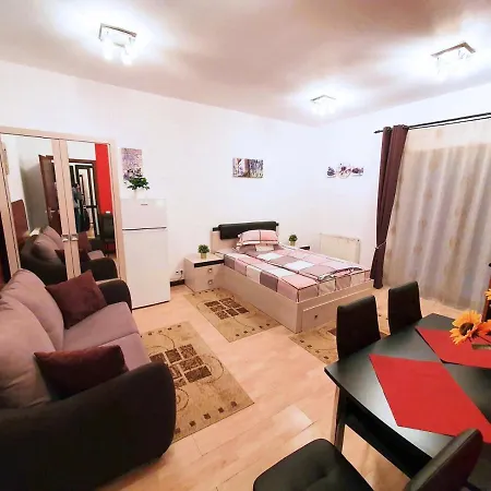 Studio Central Apartment Sinaia